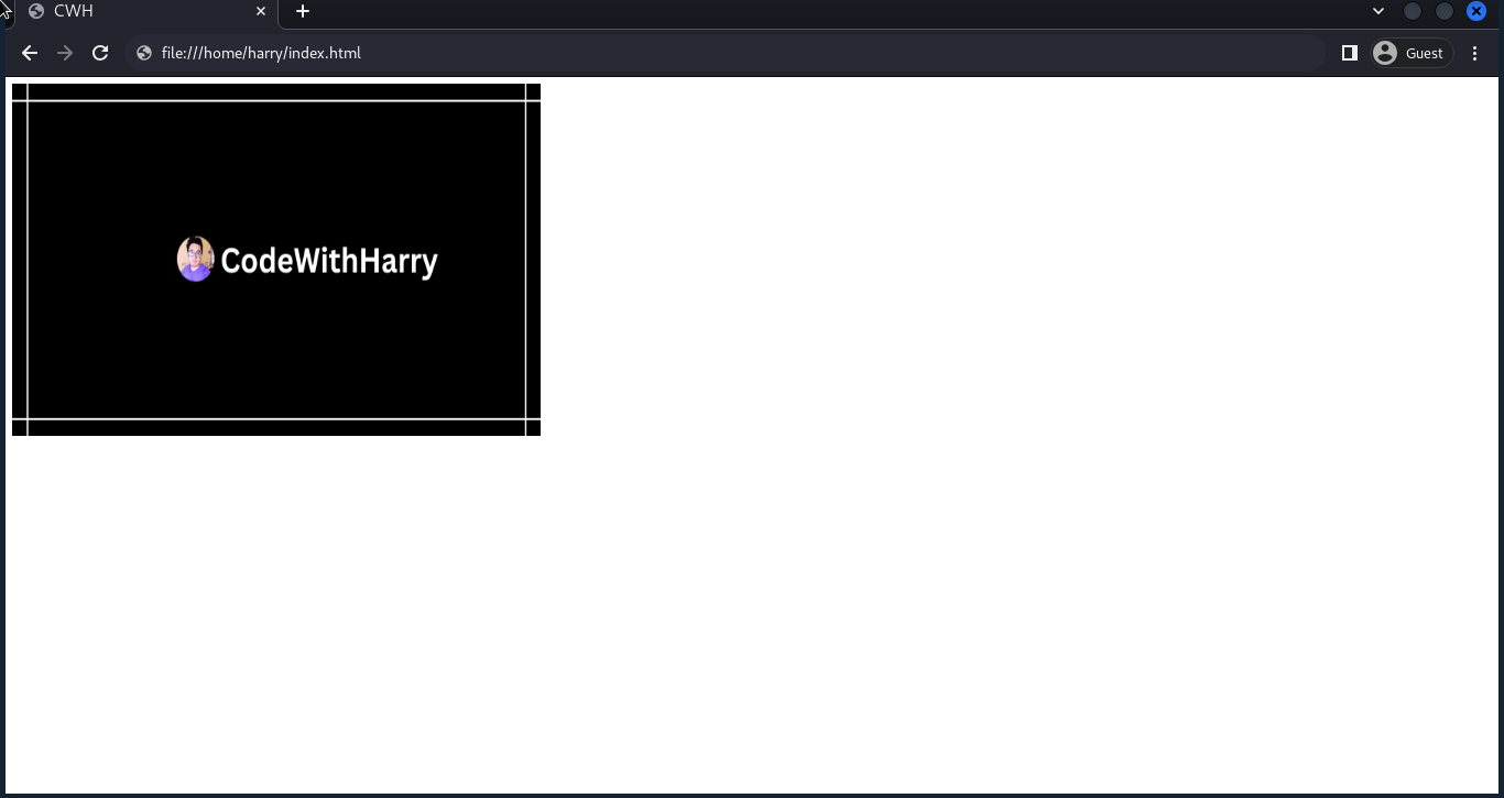 CSS Borders  CodeWithHarry